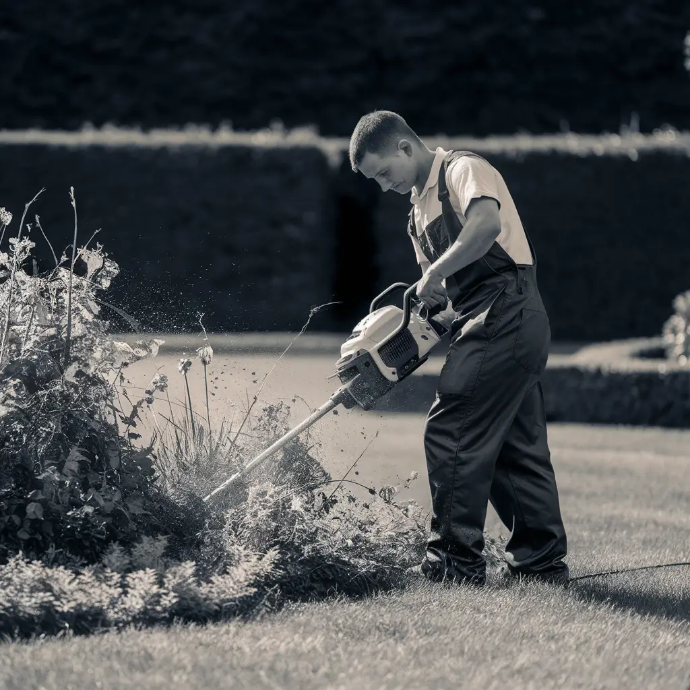 Weed Eater Weed Eater Service Wellington